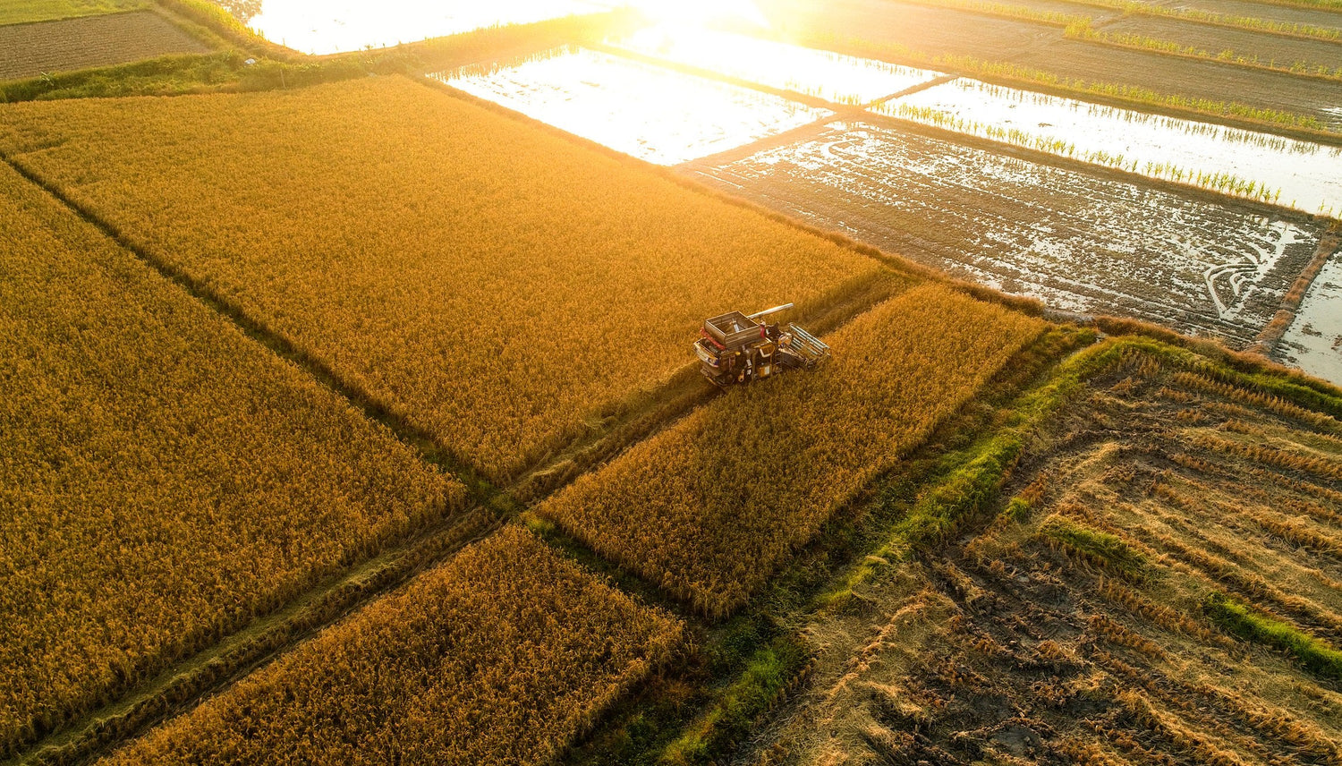 Agricultural Futures